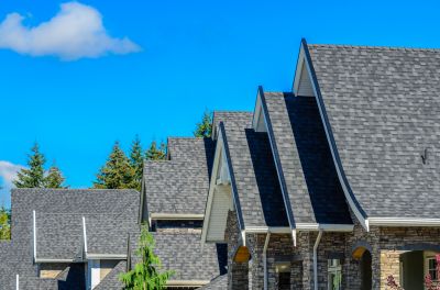 Specialized Roofing Experts